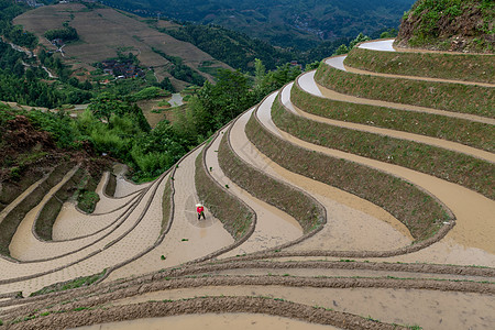 桂林风景桂林龙脊梯田风景背景