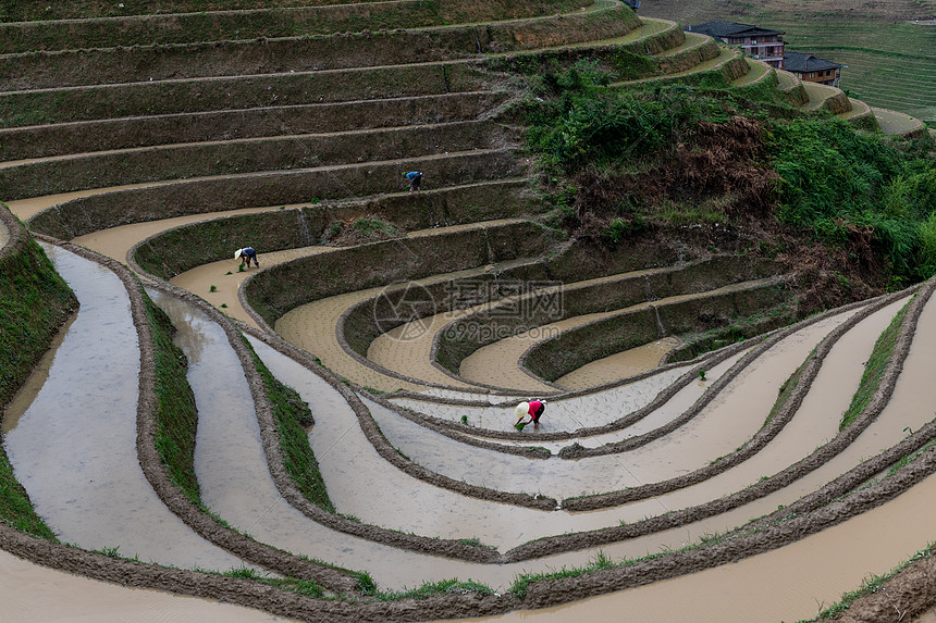 桂林龙脊梯田风景图片