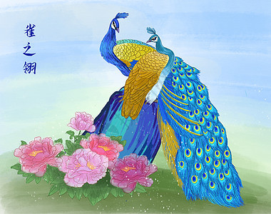 孔雀牡丹图背景图片