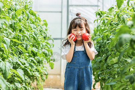 阳光女孩小女孩蔬菜棚摘水果背景