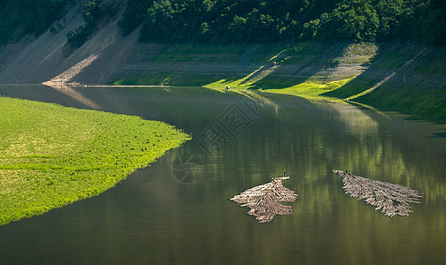 飞翔的鹰山水河流风光背景