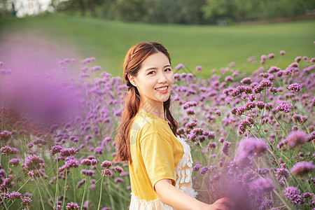 花海少女植物马鞍高清图片