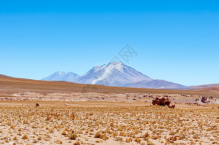 乌蒙草原乌尤尼荒原景观背景