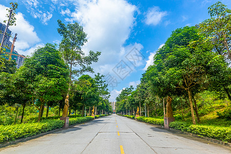 公园道路陵园道路背景