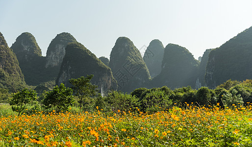 广西省阳朔县十里画廊景区花儿盛开背景