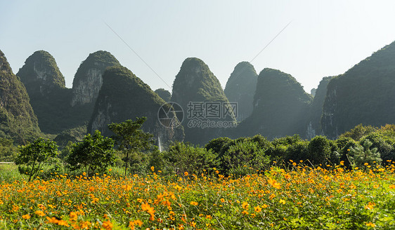 广西省阳朔县十里画廊景区花儿盛开图片