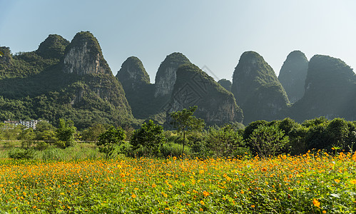 广西省阳朔县十里画廊景区花儿盛开背景