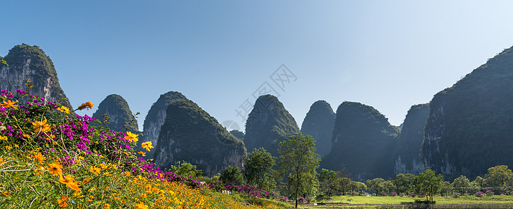 广西省阳朔县十里画廊景区花儿盛开背景