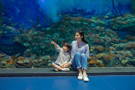 年轻母子参观海洋馆图片