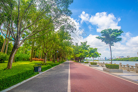 林荫道走道湖岸高清图片