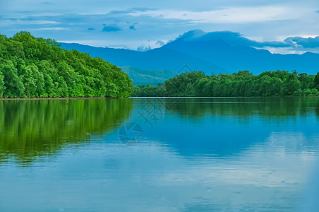 马来西亚森林沙巴红树林风景背景