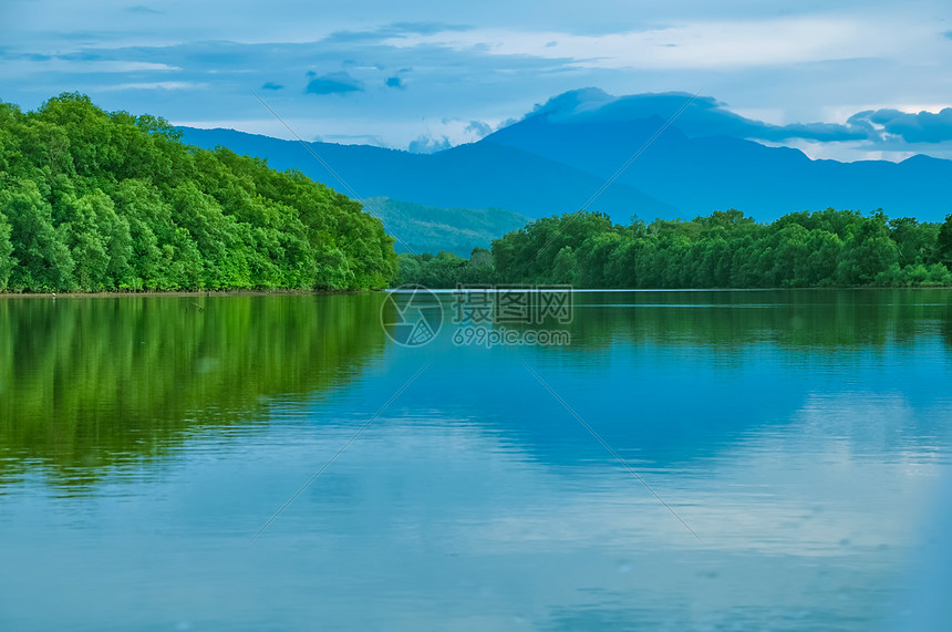 沙巴红树林风景图片