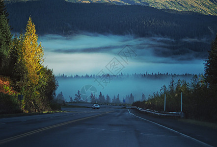 美国阿拉斯加斯特灵公路雾气秋景高清图片