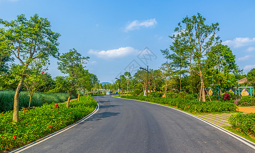 公园道路路面风景高清图片