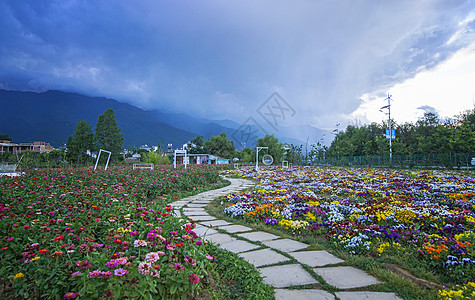 云南大理丽江大理花海石子小路背景