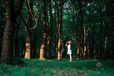 森林女孩图片