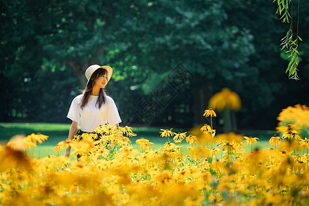 花海中的女孩图片