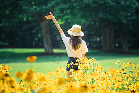 夏季公园花海女孩背影背景