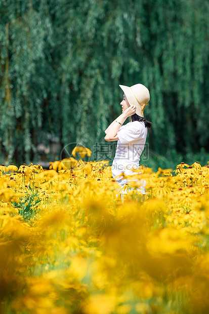 花海中的女孩图片