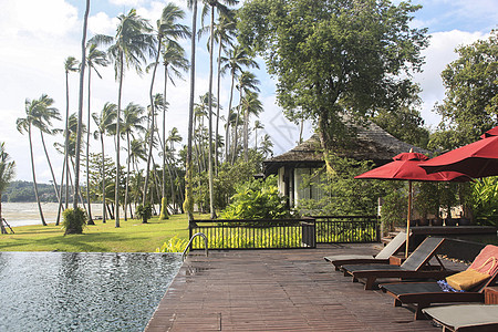 泰国度假酒店的泳池和躺椅高清图片