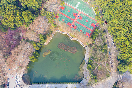 小区篮球场城市楼盘小区的人工湖和运动场背景