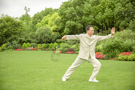 蒸功夫老年人太极锻炼背景