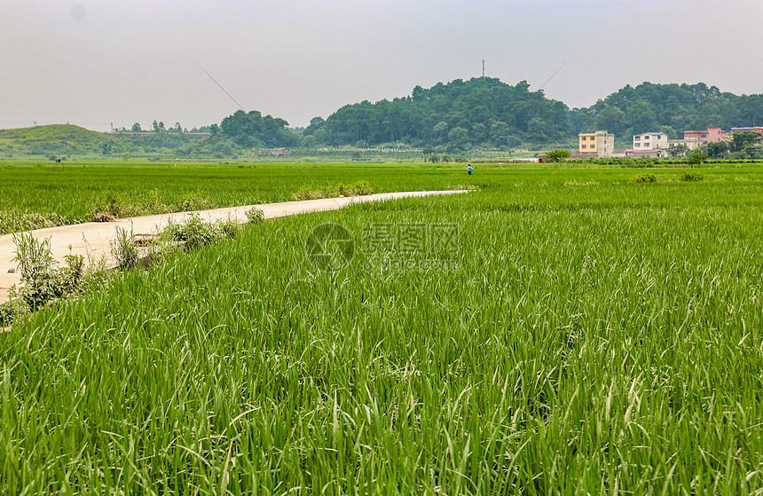 照片 自然风景 乡村田园风光.