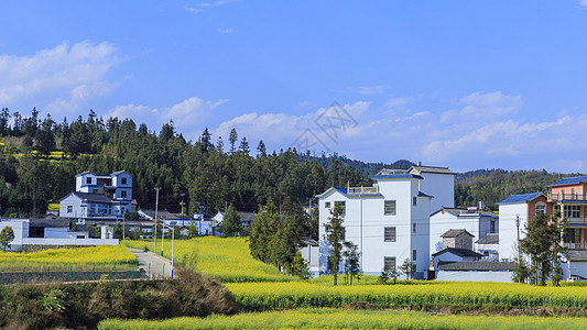 复古小洋楼新农村背景