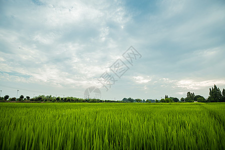 农田全景风光图片