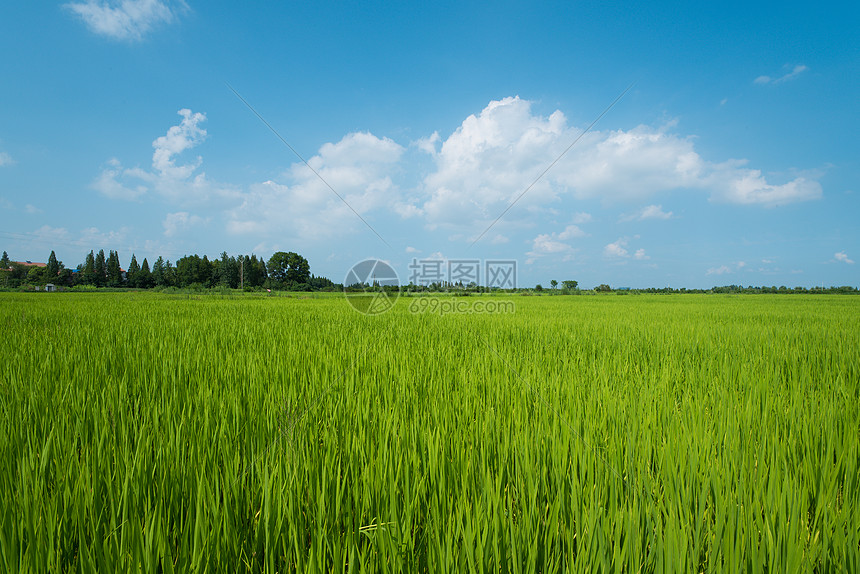 农田全景风光图片