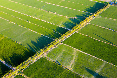 农田种植新疆农业大规模种植航拍背景