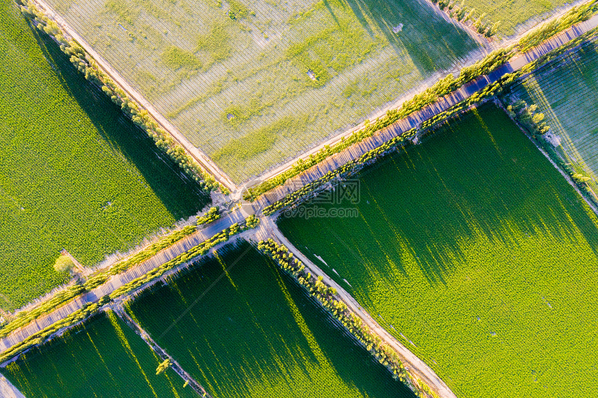 ‘~航拍新疆大规模种植农业农田  ~’ 的图片