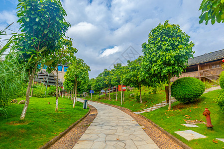 公园道路广西民族村小道背景