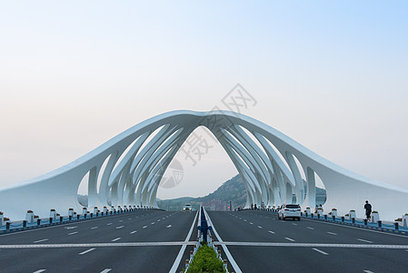 高速公路下星光青岛珊瑚贝桥背景