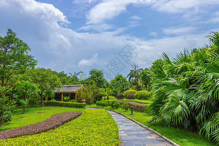 园林植物贵港园景观背景