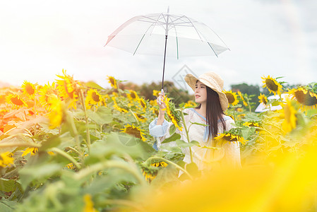 向日葵少女手拿雨伞图片