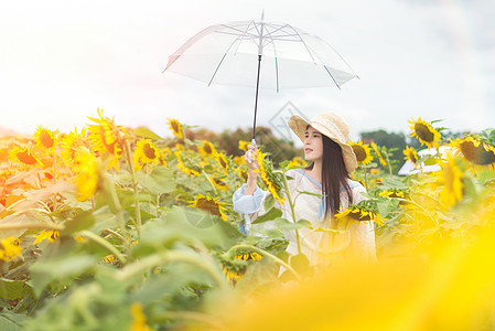 向日葵少女手拿雨伞图片