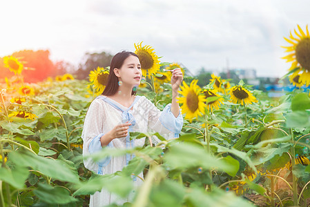 向日葵女孩吹泡泡背景图片