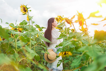 青春活力萌妹子向日葵女孩背影背景