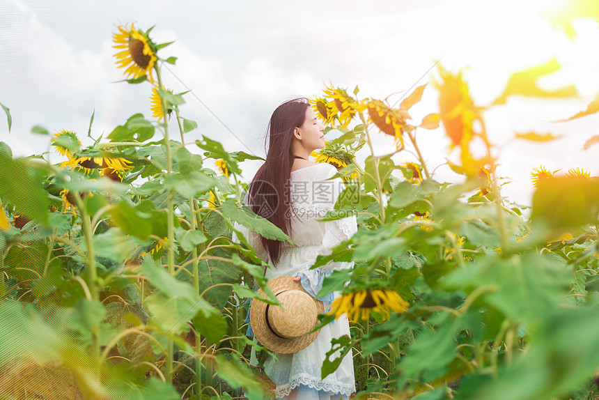 向日葵女孩背影图片