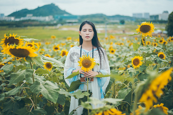 向日葵女孩图片