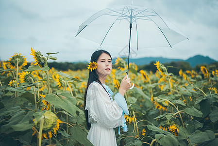 向日葵少女拿着雨伞背景图片
