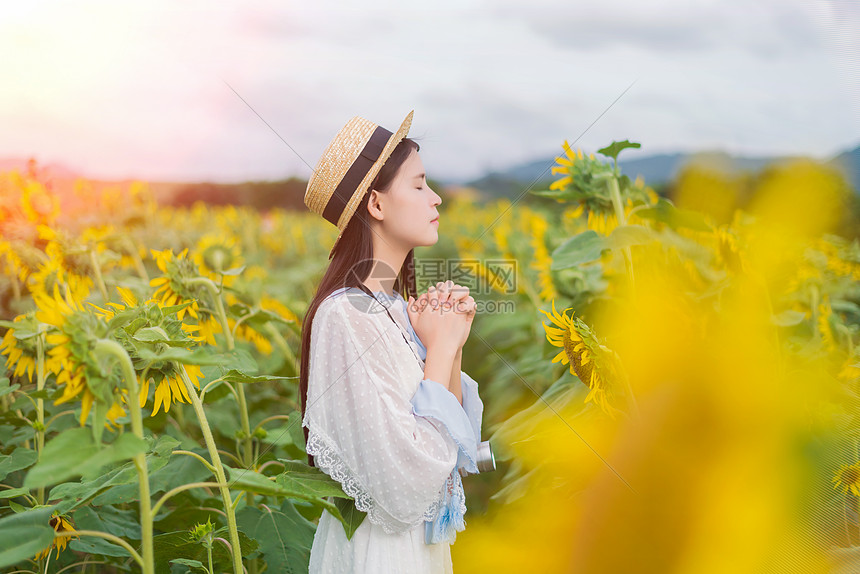 向日葵女孩祈祷图片