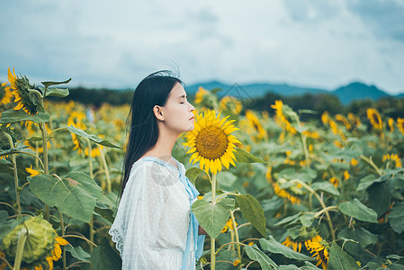 少女向日葵女孩背景