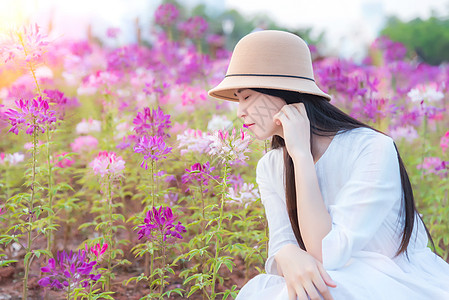 插画少女花海里的少女背景