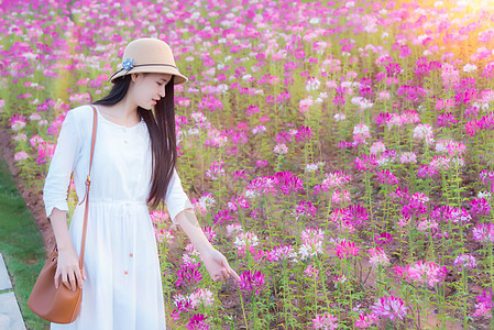 花海里的少女图片