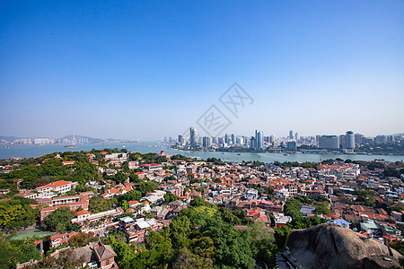 岩兰草厦门鼓浪屿日照岩背景