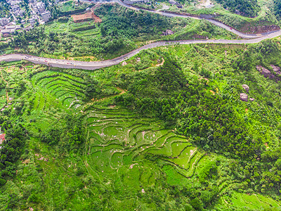 福州鼓岭茶园航拍背景