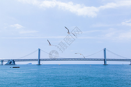 大连城市海岸线海边图片