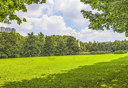 校园风光上海交通大学校园大草坪风光背景